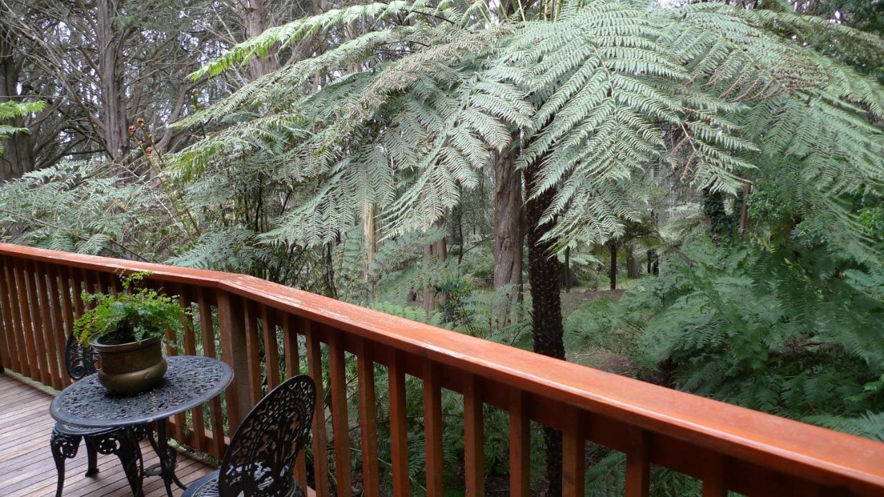 Chudleigh Park Cottages Sassafras Buitenkant foto