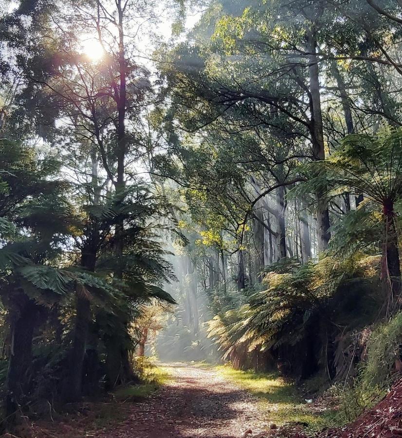 Chudleigh Park Cottages Sassafras Buitenkant foto